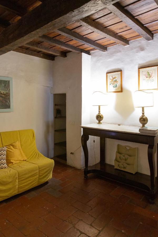 Comfy Apartment Near Palazzo Pitti Floransa Dış mekan fotoğraf